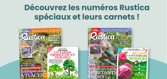NUMEROS SPECIAUX